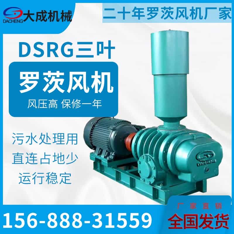 高壓羅茨風(fēng)機(jī)